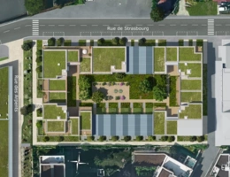 JARDIN EN SCÈNE (95)